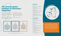 Standing Equine MRI Sales Brochure-2