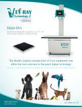DX-V Flat Panel-1