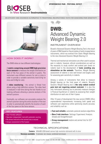 DWB