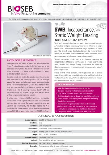 SWB