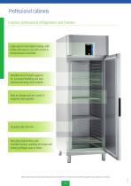 Brochure For Professional and Commercial Cabinets - 4