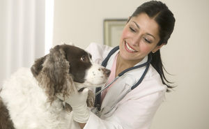 Medicina veterinária