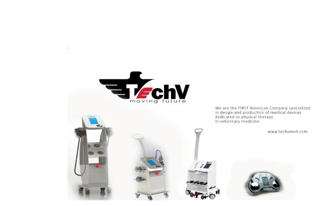 Techv LLC Photo 7