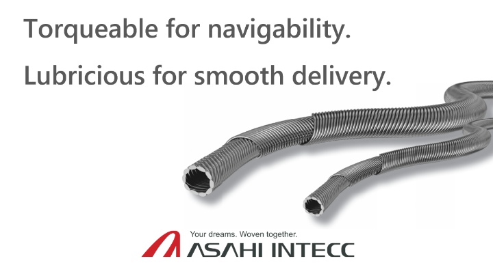 Asahi Intecc Photo 1