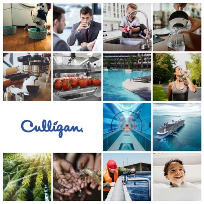 foj_Company_Tab_whoAreWe_title