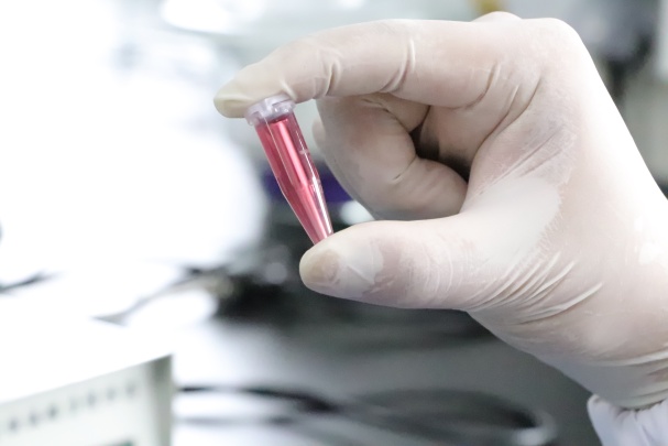 Hangzhou Immuno Biotech Co., Ltd Photo 1