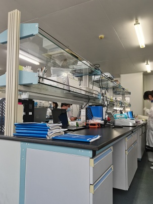 Shanghai Chemtron Biotech Co.,Ltd. Photo 9