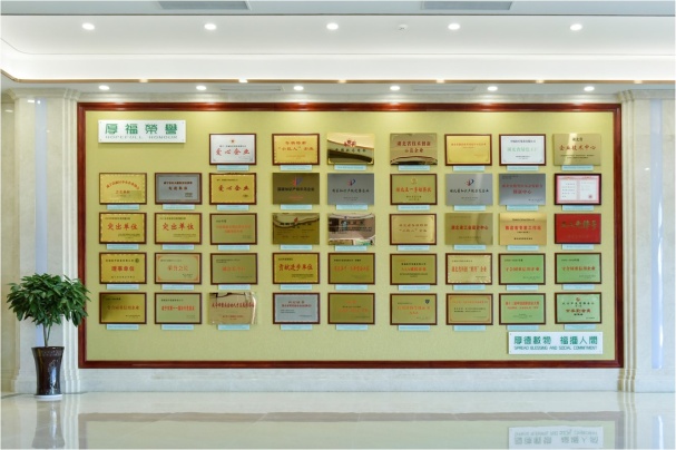 Hopefull Medical Equipment Photo 1