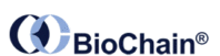 BioChain Institute - logo