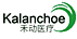 Jiaxing Kalanchoe Medical Technology