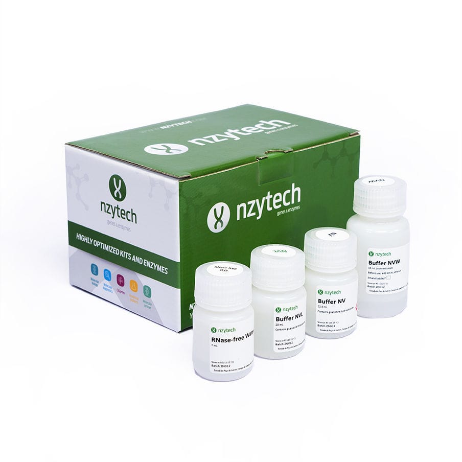 【限定セール！】 Kit de NZYTech - MB40701 - RT-qPCR para reagentes ブースター・導入液
