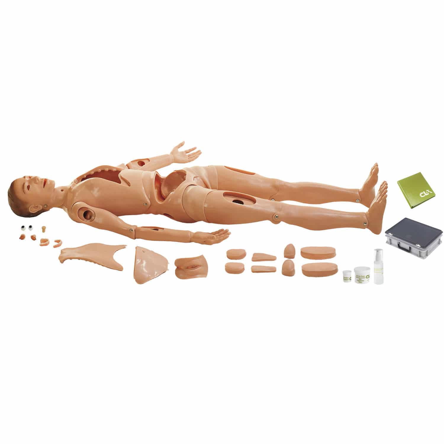 Manequim de treinamento para cuidados gerais de saúde - CLA 3 ... Manequim de treinamento para cuidados gerais de saúde - CLA 3 ...