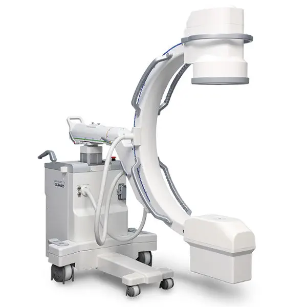 標本 P.N.G Ischiopsopha bennigseni 29mm Caddisflies (Trichoptera) checklist and a new species of