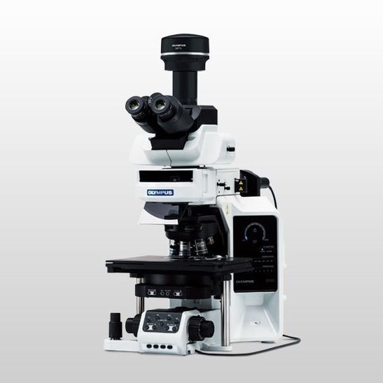 Microscópio vertical - BX63 - Evident - Olympus Scientific
