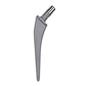 haste femoral cimentada