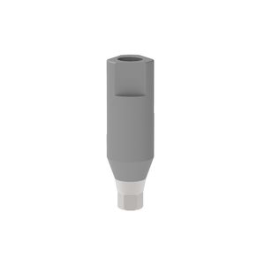 scanbody intraoral 1
