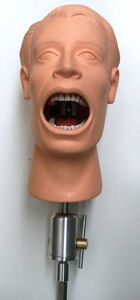 modelo de cabeça