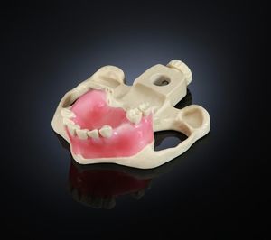 modelo anatômico serosa