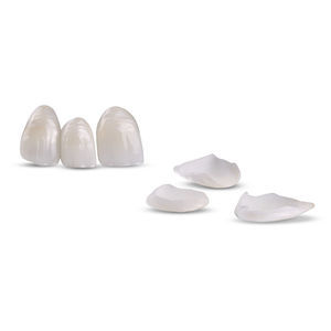 material dentário em cerâmica