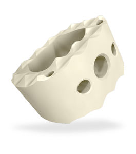 espaçador intervertebral cervical 1