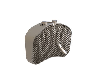 espaçador intervertebral lombar 1