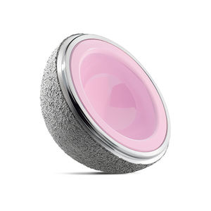 prótese acetabular não cimentada