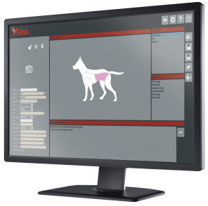 software para radiologia veterinária