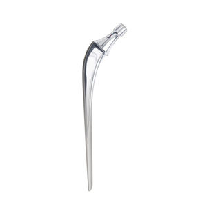 haste femoral cimentada