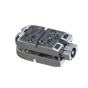 espaçador intervertebral lombar
