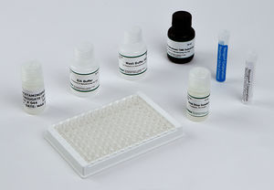 kit de teste para aplicações médico-legais