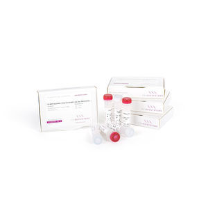 kit de reagentes transcriptase reversa