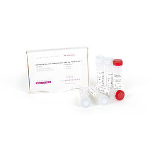 kit de reagentes transcriptase reversa 1