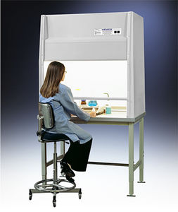 capela química 1