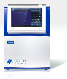 sistema de imagem molecular para western blot
