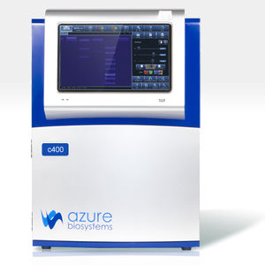 sistema de imagem molecular para western blot