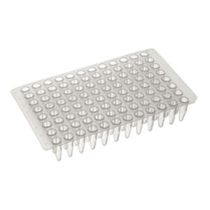 microplaca para PCR