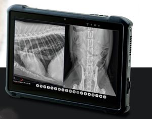 sistema de radiografia veterinária digital