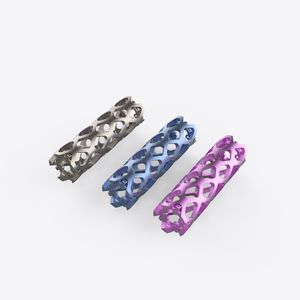 prótese vertebral toracolombar