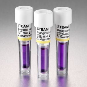 indicador biológico para esterilização a vapor 1