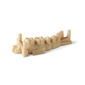 material dentário em resina acrílica