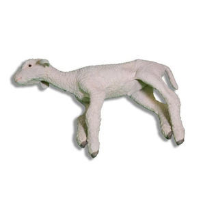manequim de treinamento veterinário