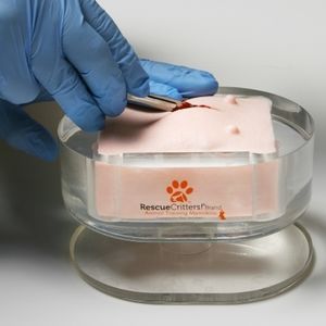 simulador para ovariohisterectomia