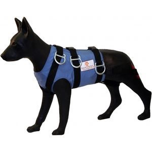 manequim de treinamento veterinário