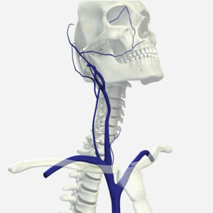 módulo de simulação para radiografia 1