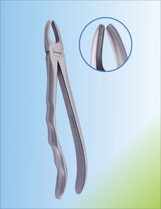 fórceps odontológico para caninos