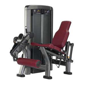 aparelho de musculação para extensão das pernas