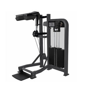 aparelho de musculação elevação de panturrilhas