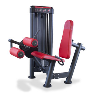 aparelho de musculação cadeira flexora