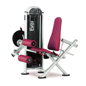 aparelho de musculação cadeira flexora