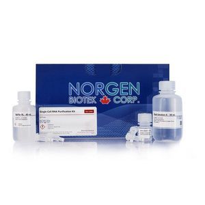 kit de reagentes para purificação de RNA 1